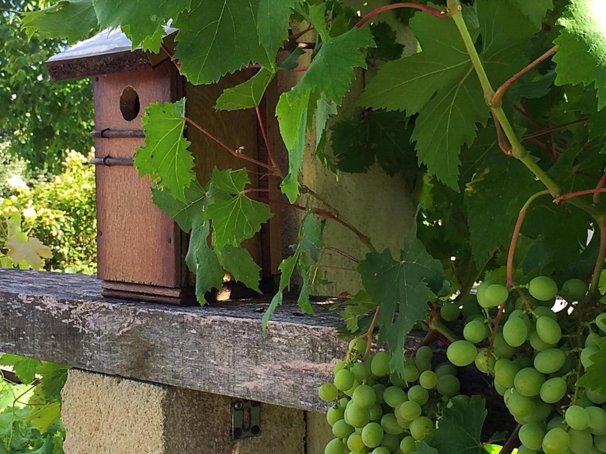 5 Lasserre Acomodação com café da manhã Moulon-sur-Dordogne Exterior foto