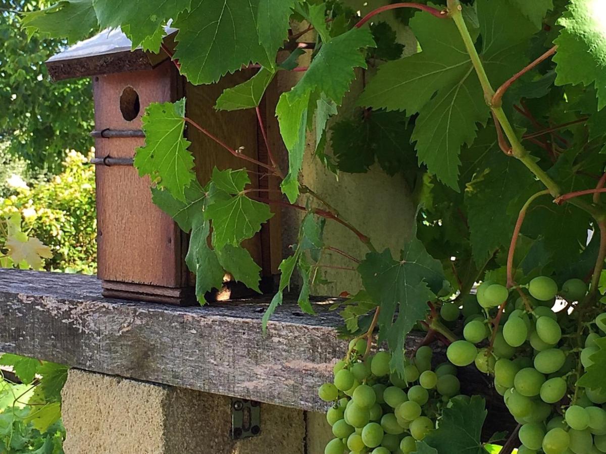 5 Lasserre Moulon-sur-Dordogne Exterior foto